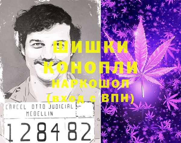 ГАЛЛЮЦИНОГЕННЫЕ ГРИБЫ Переславль-Залесский