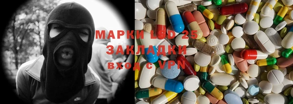 ГАЛЛЮЦИНОГЕННЫЕ ГРИБЫ Переславль-Залесский