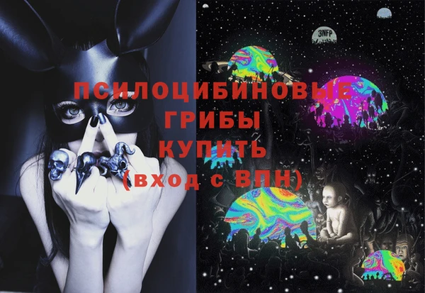 спиды Дрезна