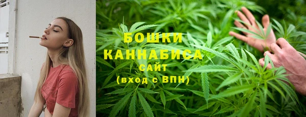 ГАЛЛЮЦИНОГЕННЫЕ ГРИБЫ Переславль-Залесский