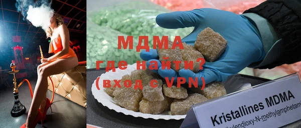 индика Елабуга