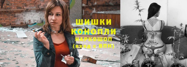 ГАЛЛЮЦИНОГЕННЫЕ ГРИБЫ Переславль-Залесский